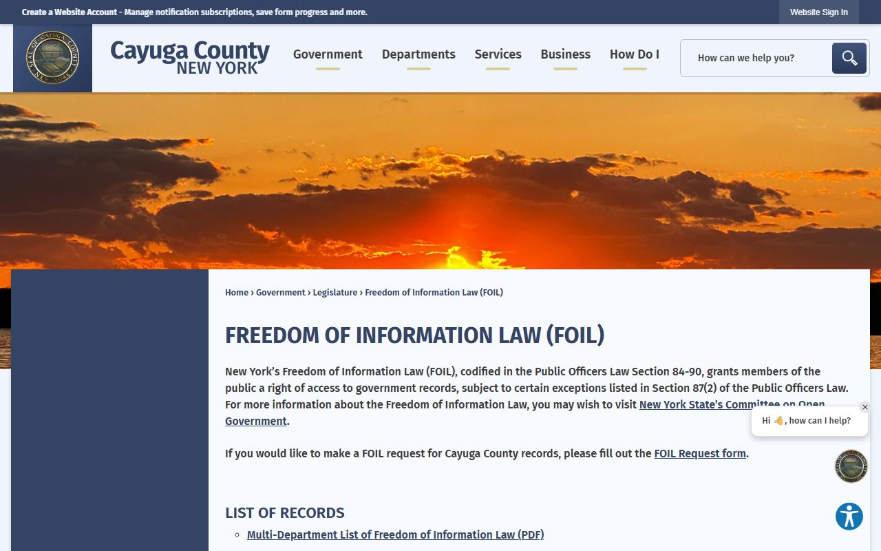 Cayuga County jail mugshots FOIL request page
